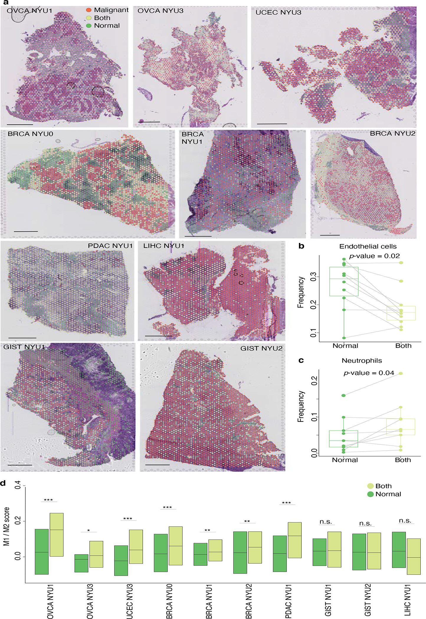 Figure 3: