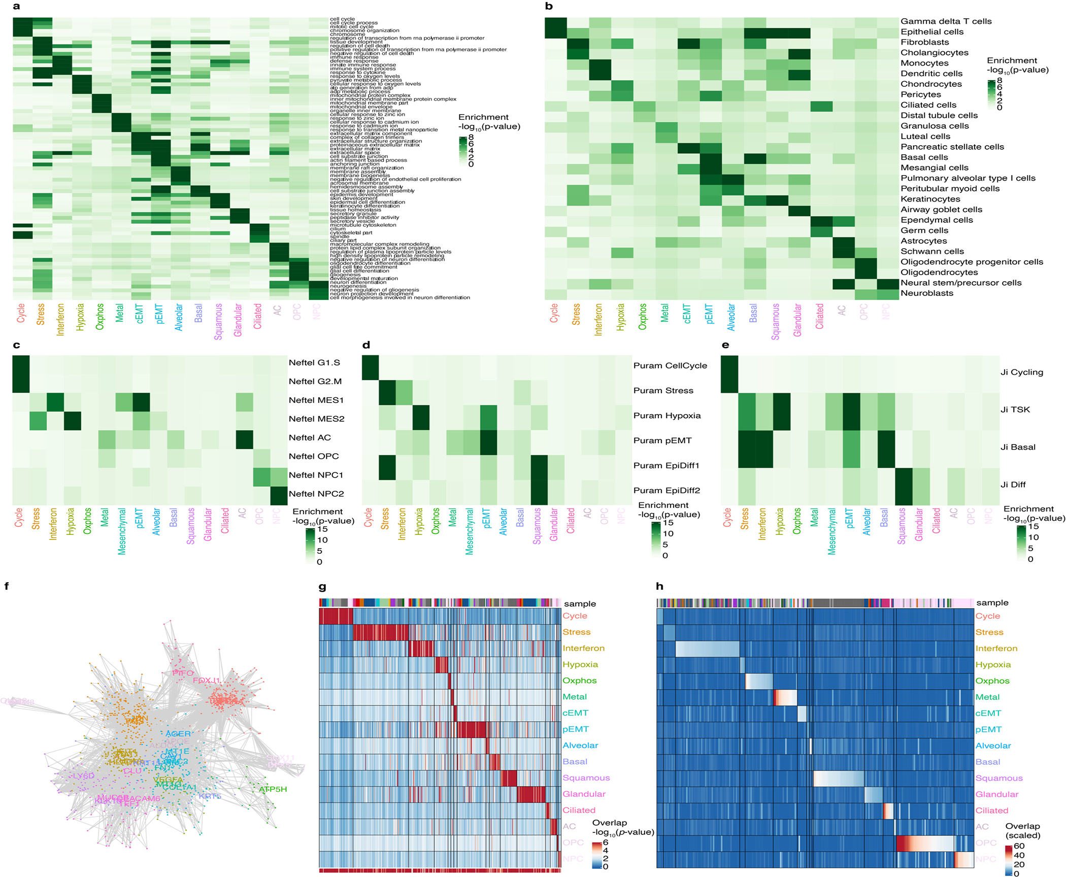 Extended Data Fig. 3