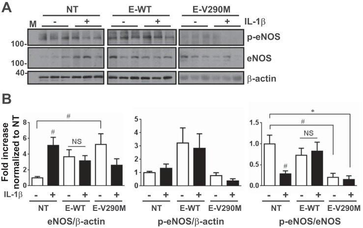 Fig. 10.