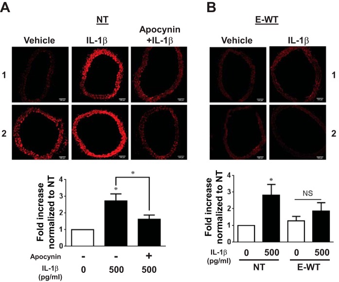 Fig. 8.