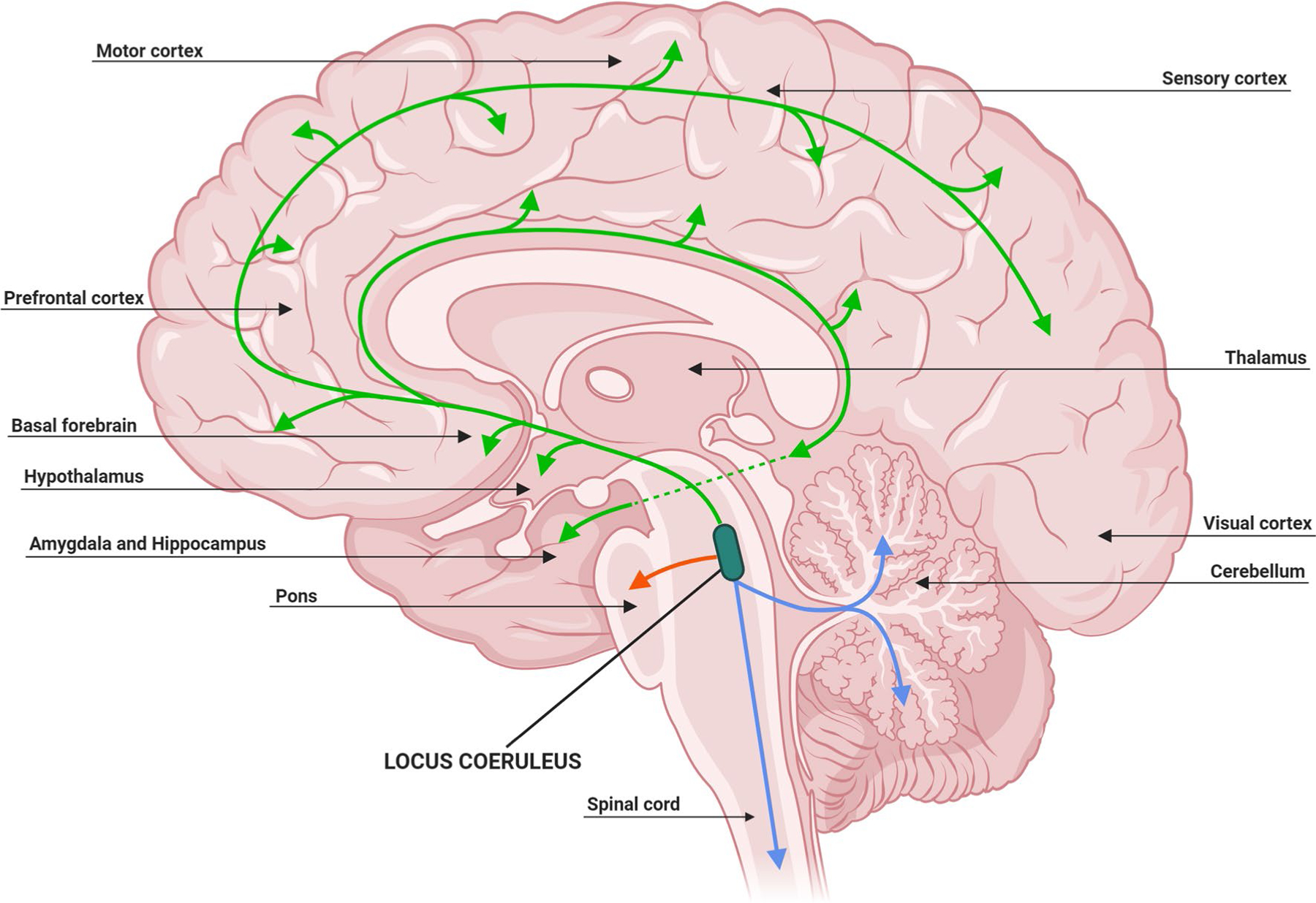 Fig. 2