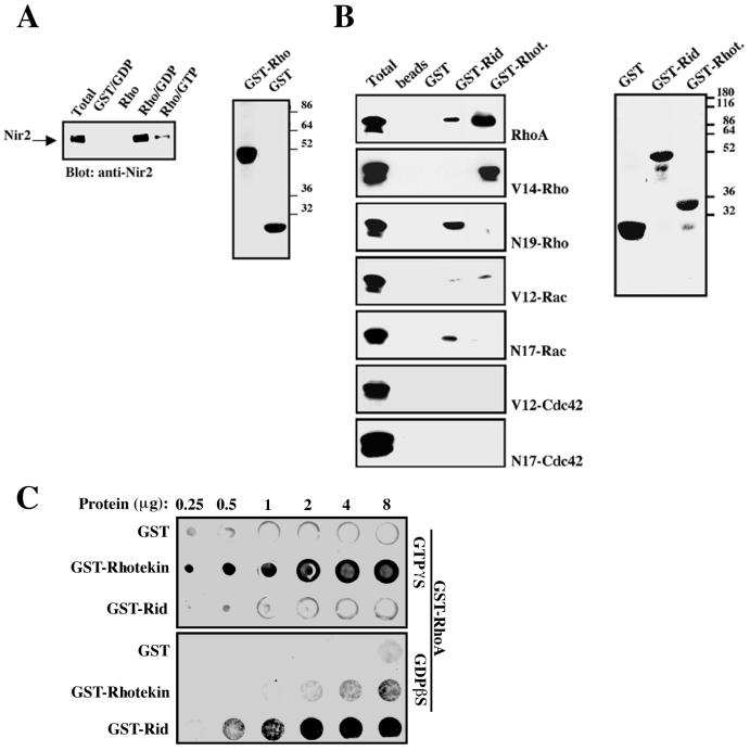 FIG. 6.