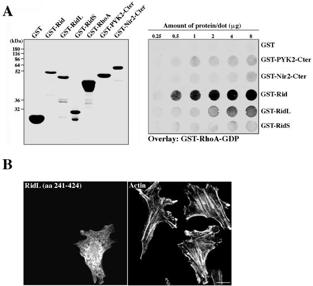 FIG. 7.