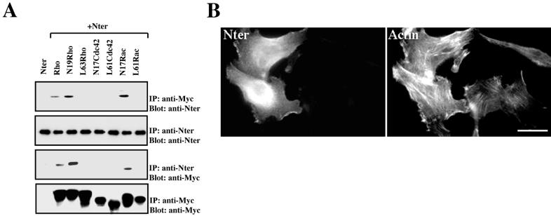 FIG. 8.