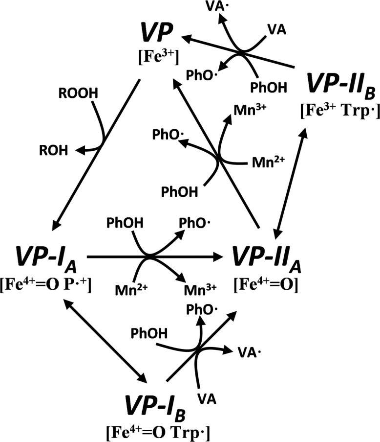 FIGURE 9.