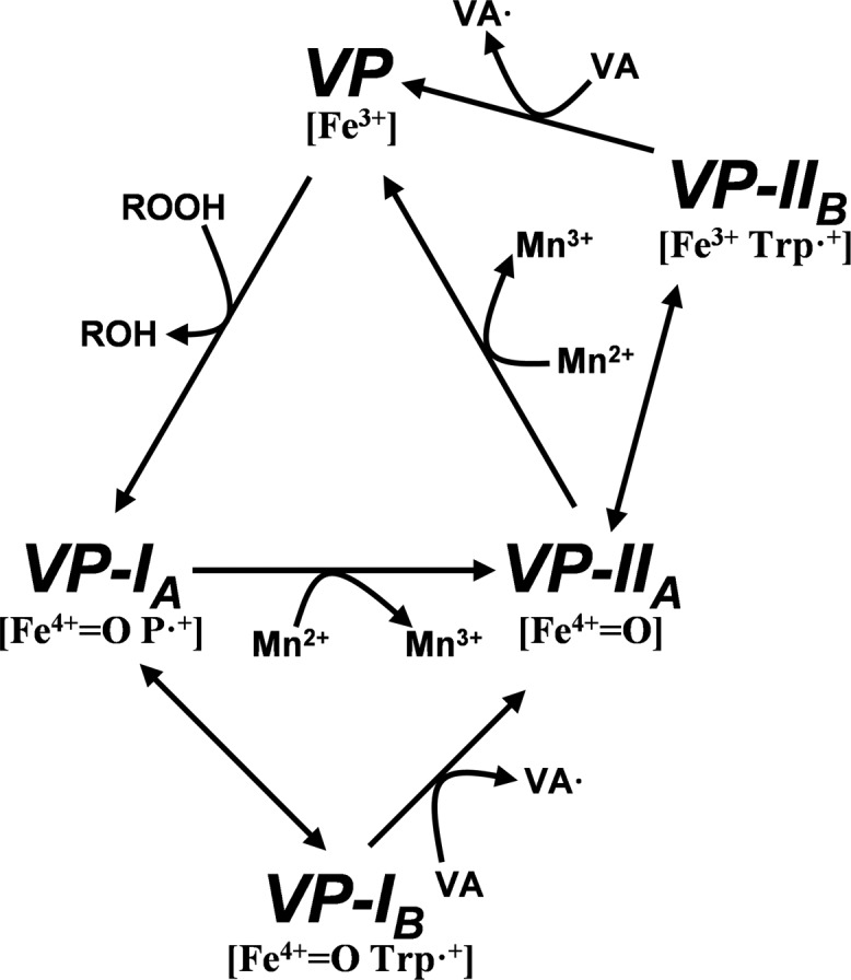 FIGURE 1.