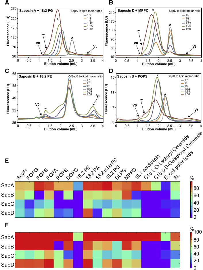 Figure 1