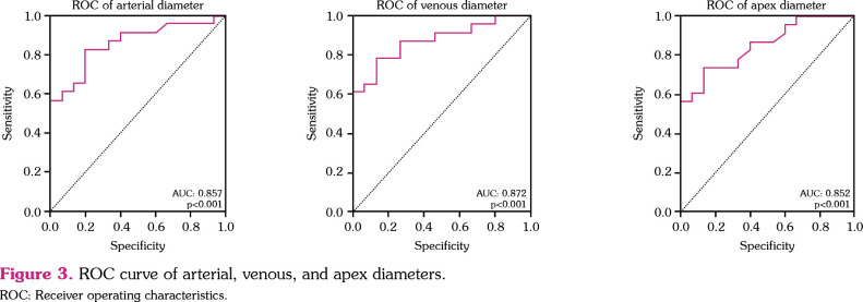 Use of nailfold video capillaroscopy in polycythemia vera - PMC