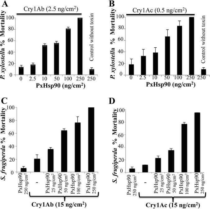 FIG 1