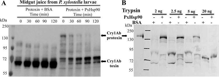 FIG 4