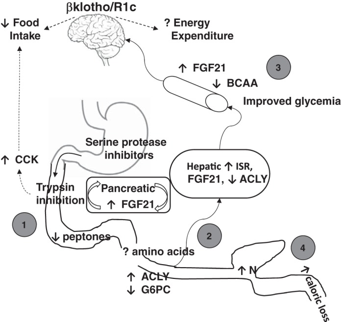 Fig. 9.