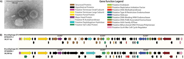 FIG 1