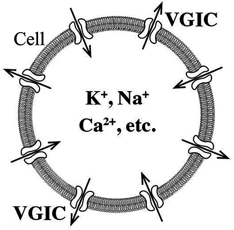 Fig. 4