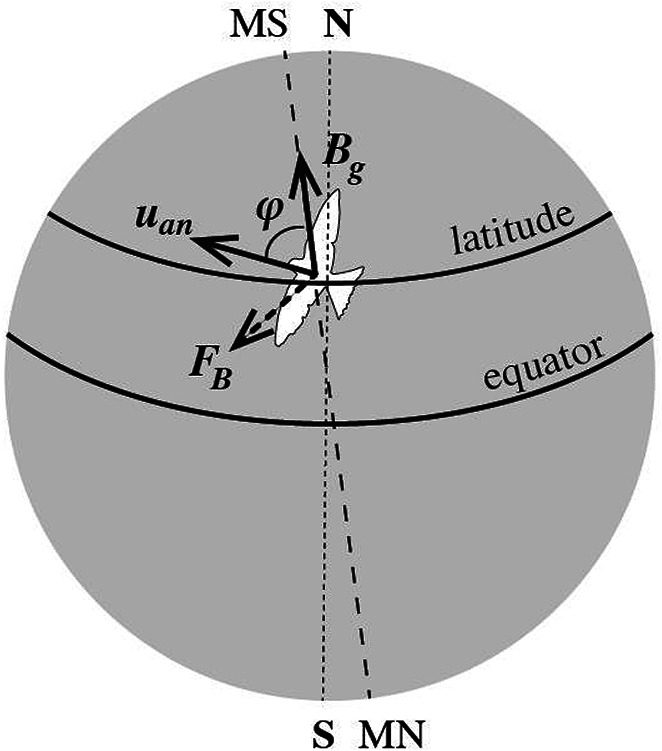 Fig. 5