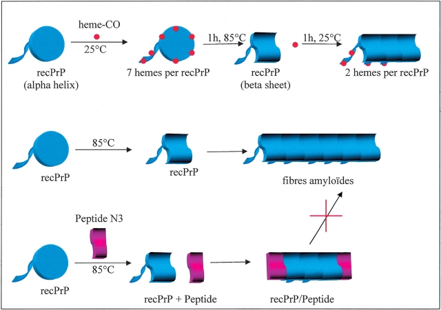 Figure 10.