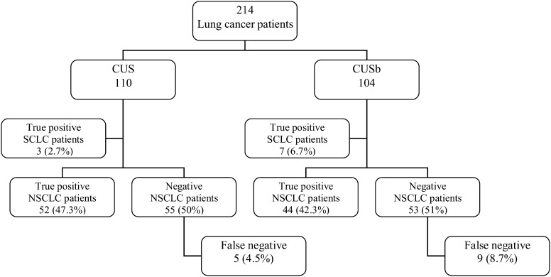 Figure 1: