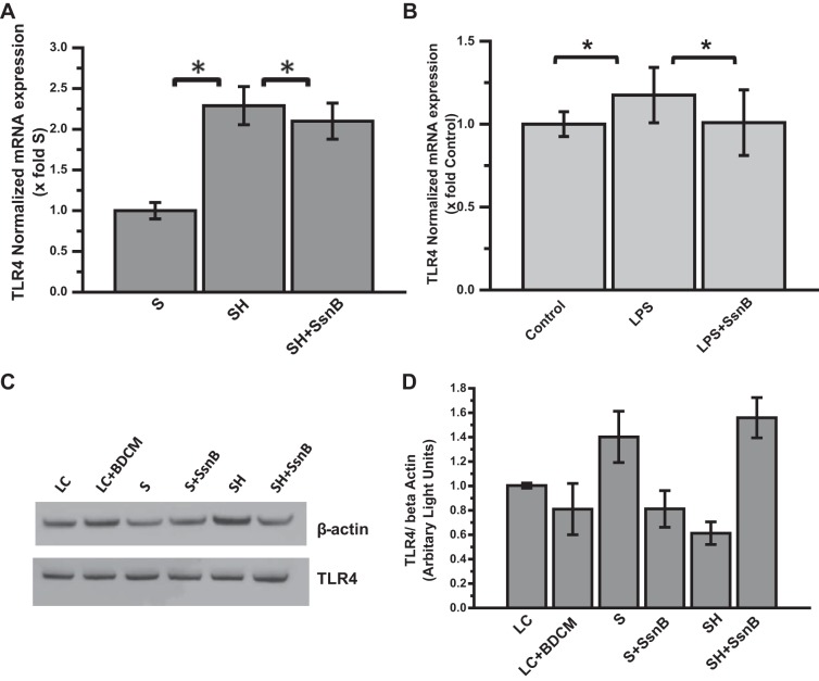 Fig. 11.