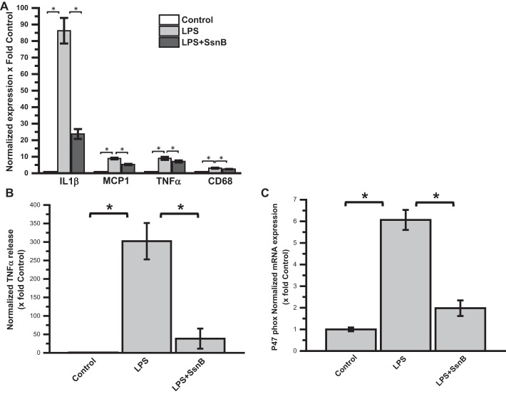 Fig. 10.