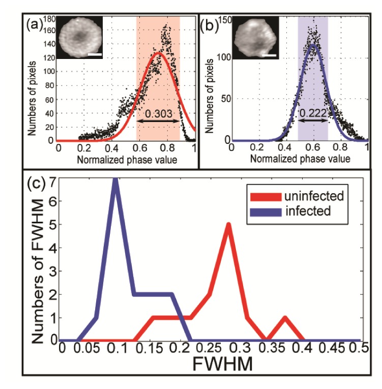 Fig. 8