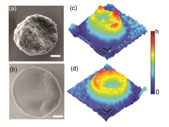 Fig. 7