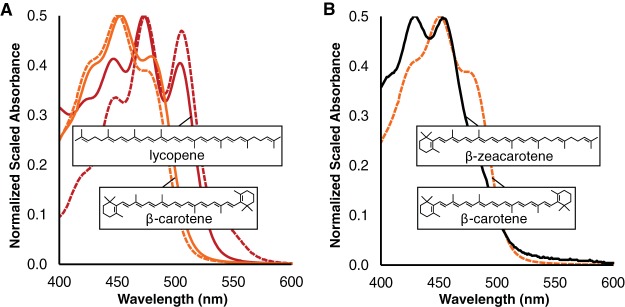 FIG 6