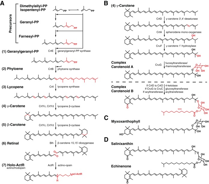 FIG 3