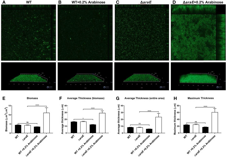 Figure 2