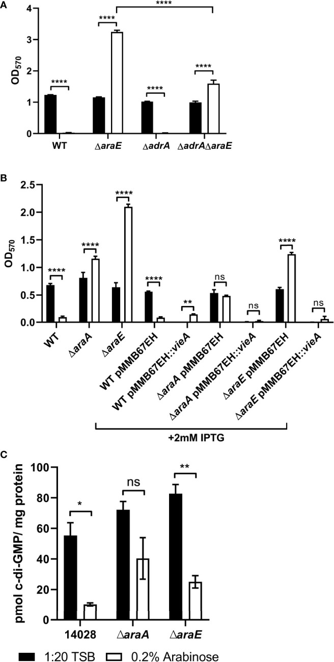 Figure 7