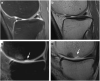 Fig. 6