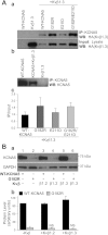 Fig. 9.