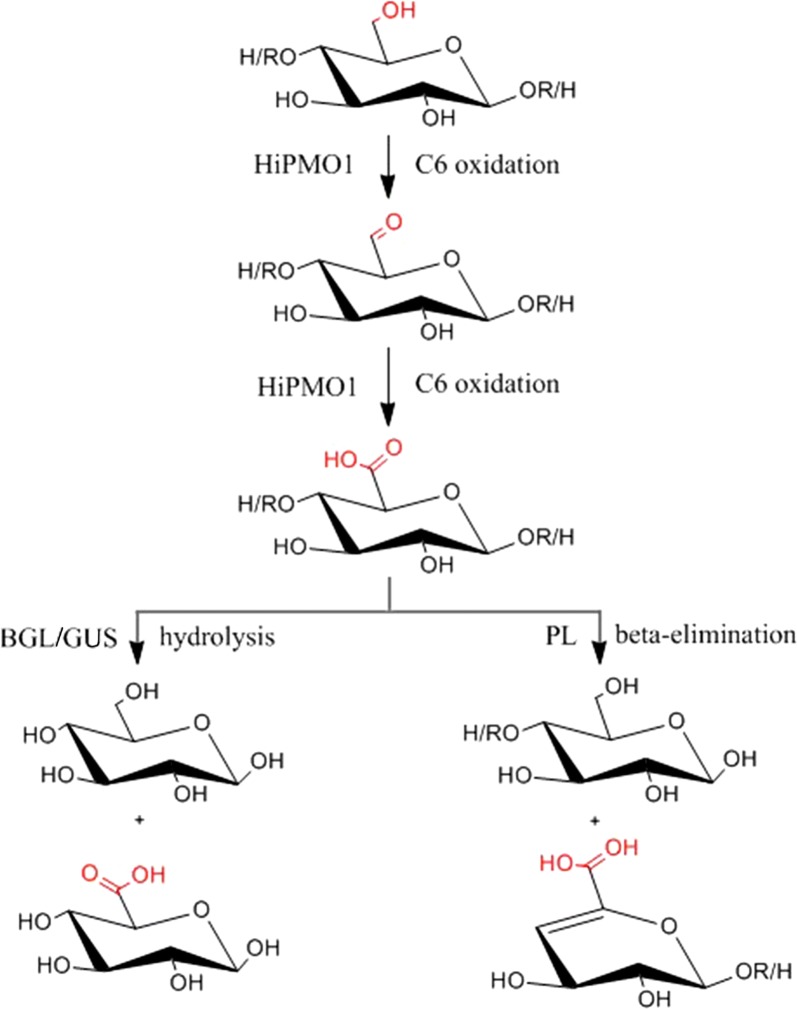 Fig. 9