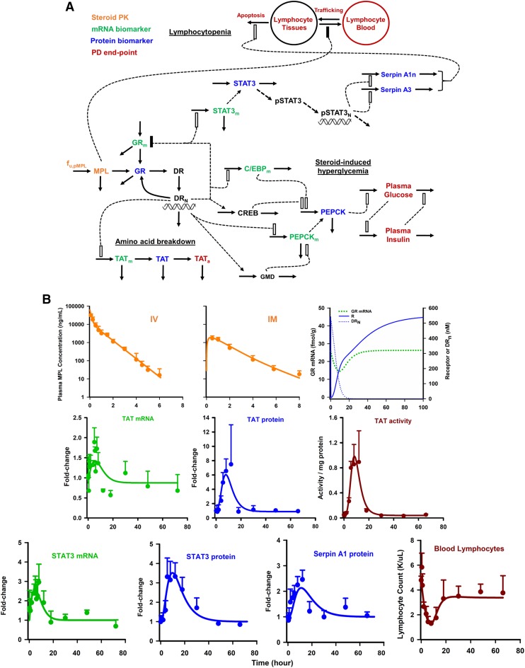 Fig. 7.