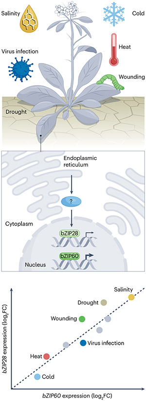 Fig. 3 |