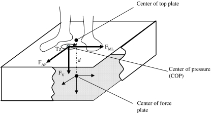 Fig. 1