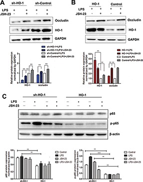 Figure 6.