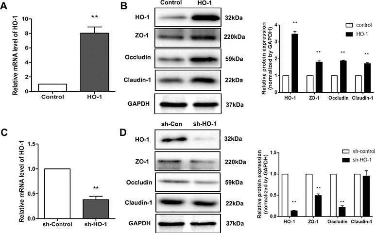 Figure 4.