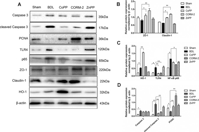 Figure 2.