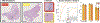 Extended Data Figure 2: