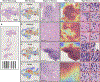 Extended Data Figure 7: