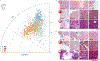 Extended Data Figure 1: