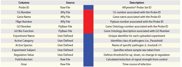 graphic file with name fly0502_0155_fig005.jpg