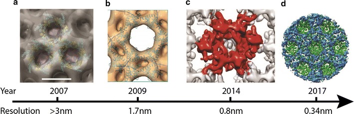 Fig. 2