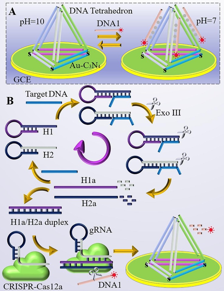 Scheme 1