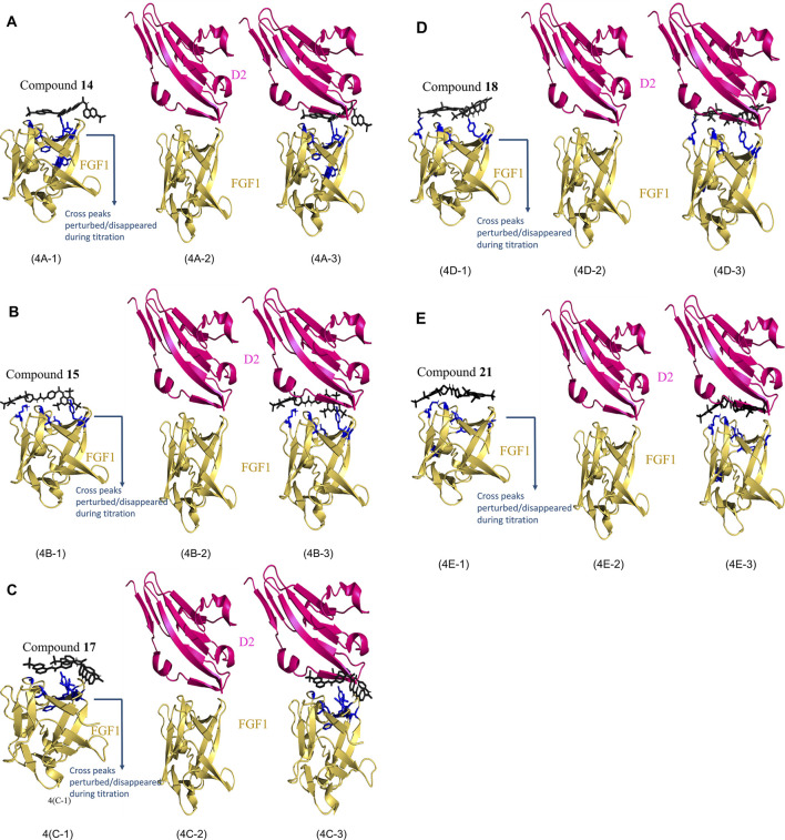 FIGURE 4