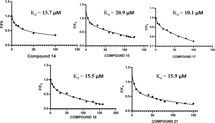 FIGURE 3