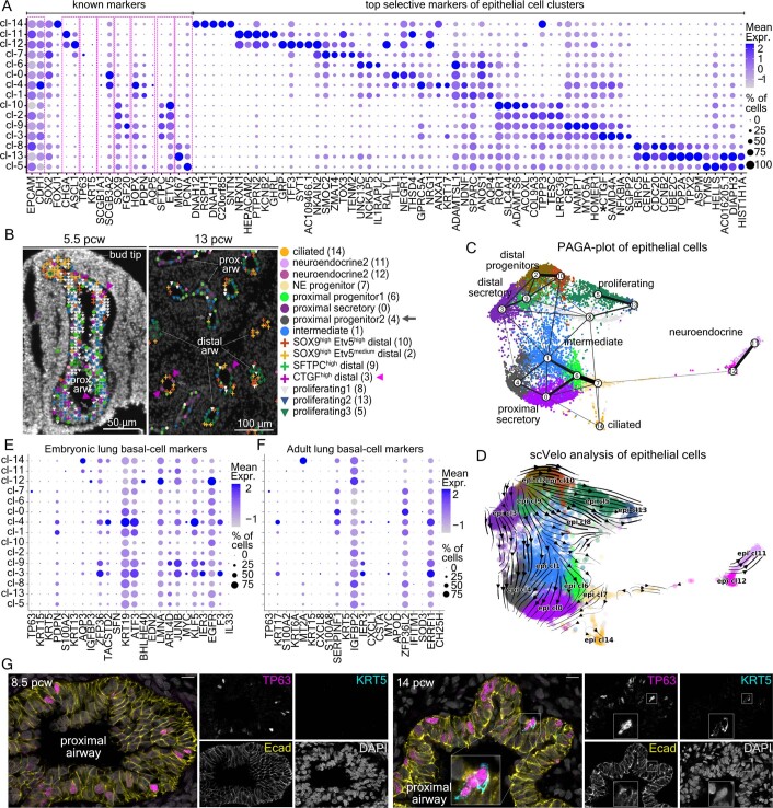 Extended Data Fig. 8