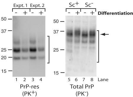 FIG. 9.