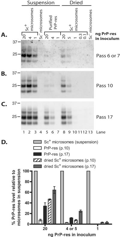 FIG. 7.