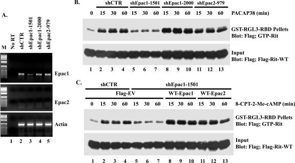 FIG. 9.