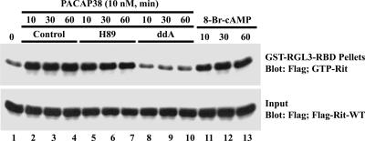 FIG. 6.